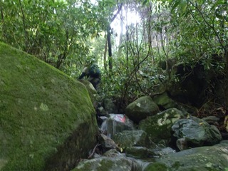 P6020100_R