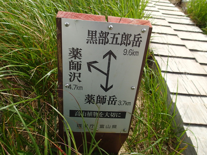 P7171179