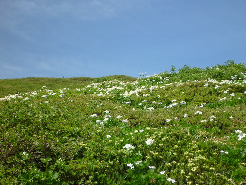 P1040674