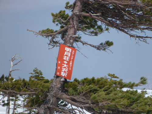 P1050779
