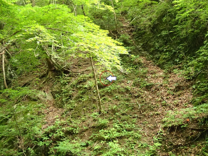 P6301055