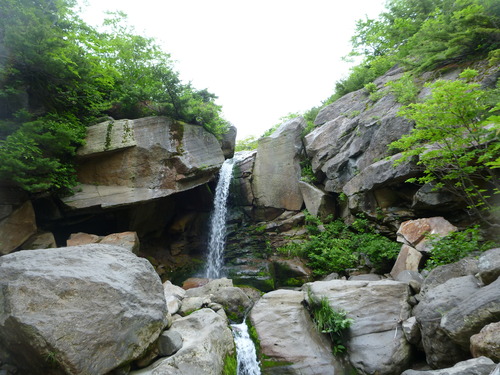 P1000049