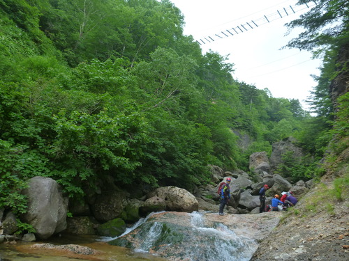 P1040503