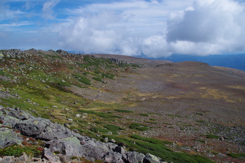 IMGP3817