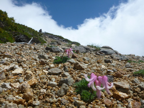 P1030045