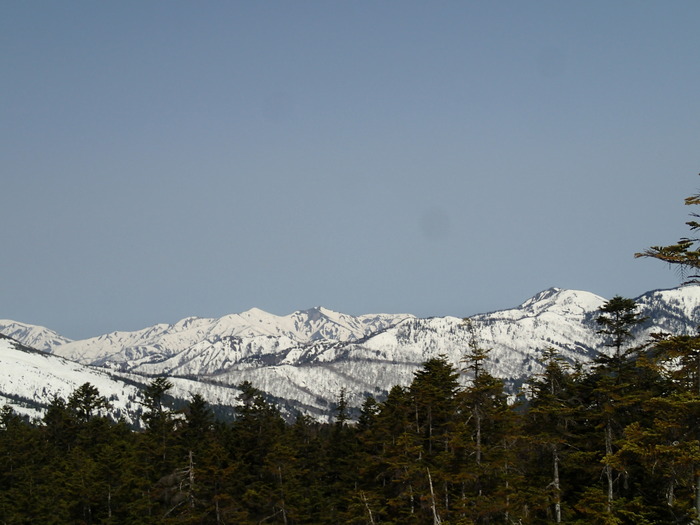 P4290591