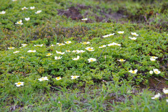 IMGP0749