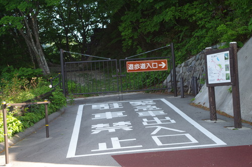 IMGP3413