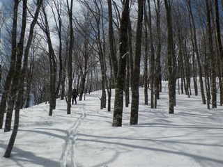 P1010564_R