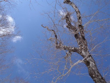 P4010029_R