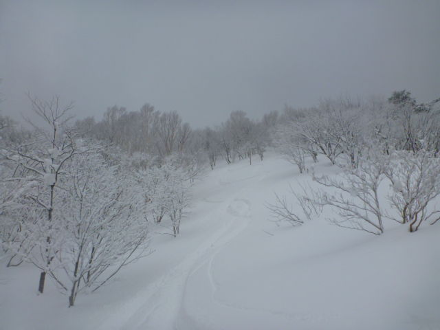 P1050576