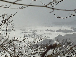 110213_084840_import_R