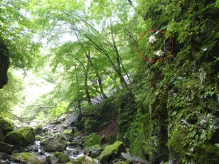 P7290007