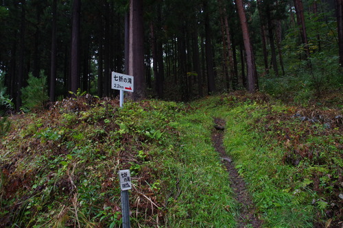 IMGP4050