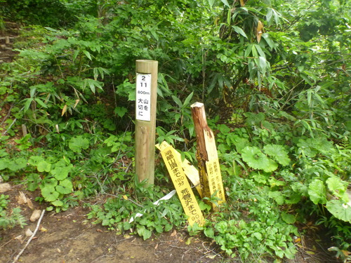 P1080267