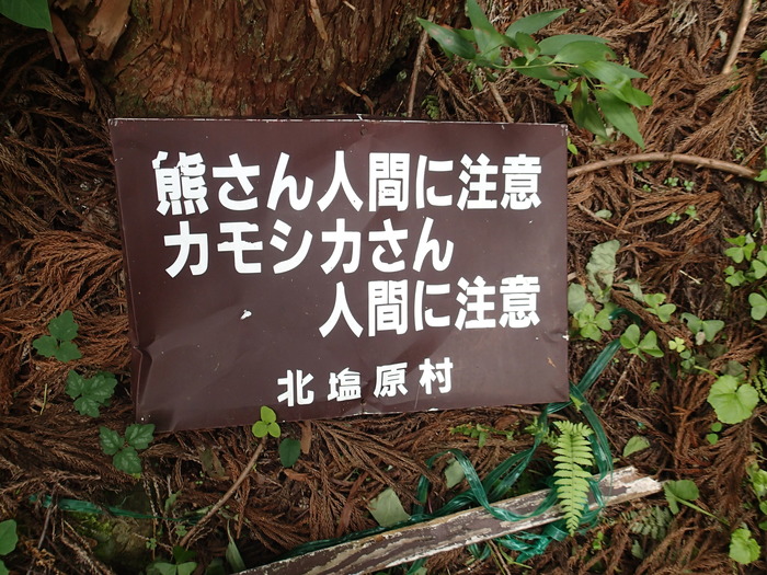P7113289