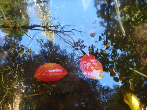 P1050084