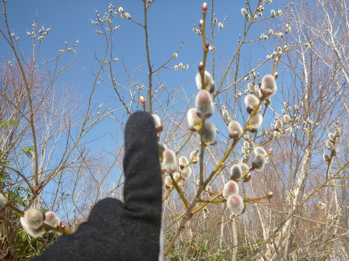 P1040098