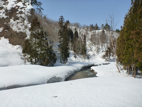P1030324