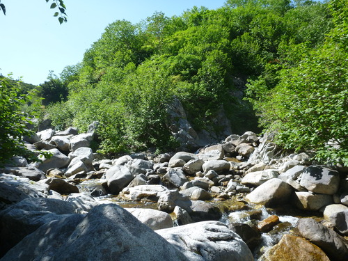 P1040799
