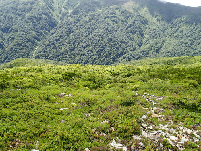 P7133324