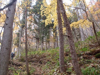 PB050044_R