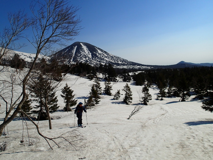 P5032936