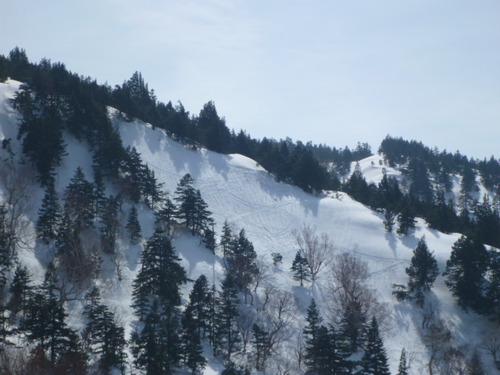 P1050785