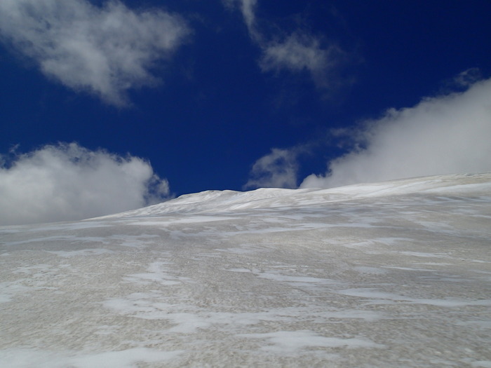 P5032952