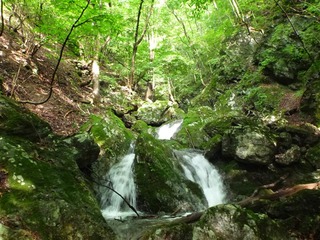 P1000474_R
