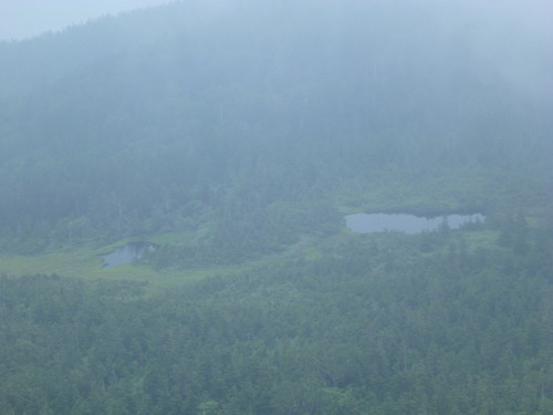 P1000139