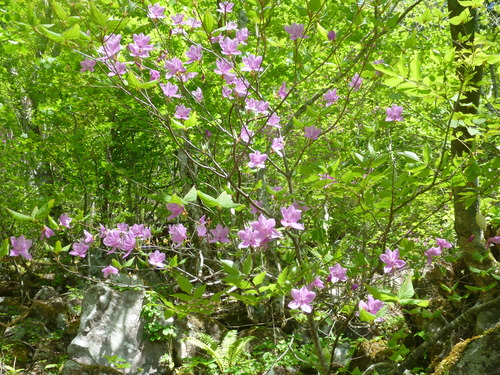 P1040183