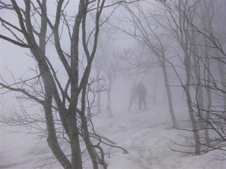 SANY0227_R