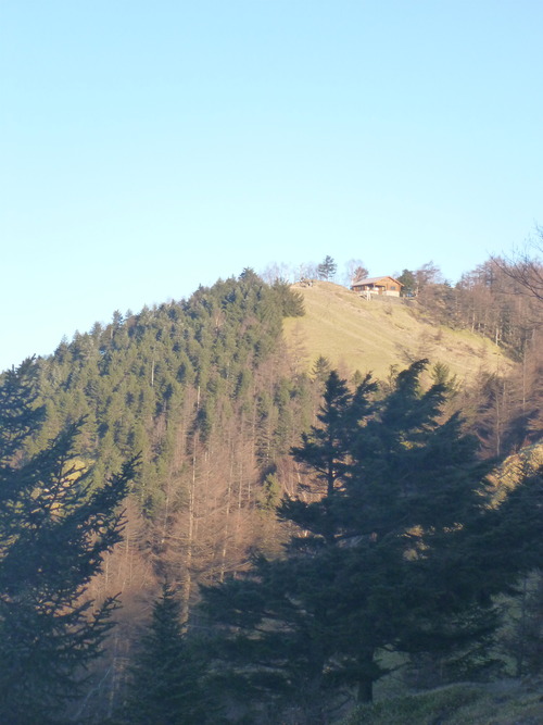 P1080830
