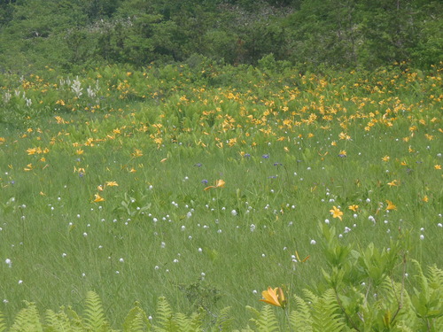 P6300057