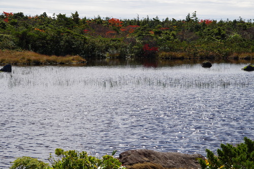 IMGP4021