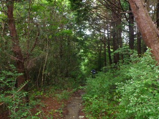 P1010863_R