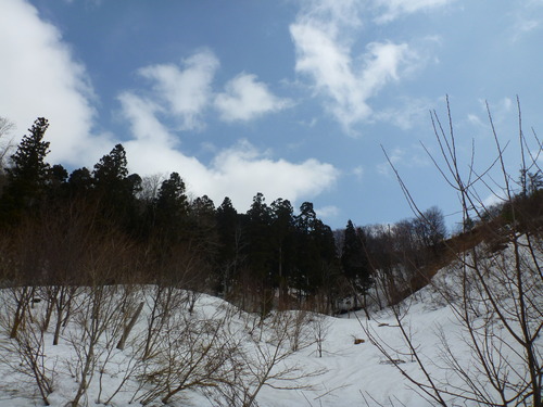 P1030520