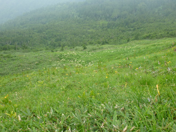 P1040600