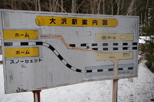 IMGP5593