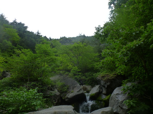 P1040359
