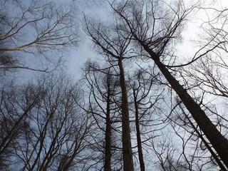 110402_095020_import_R