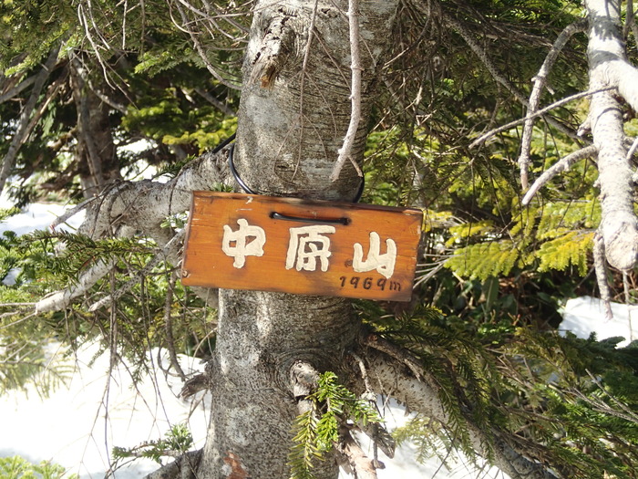 P4290604