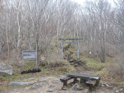 P1040040