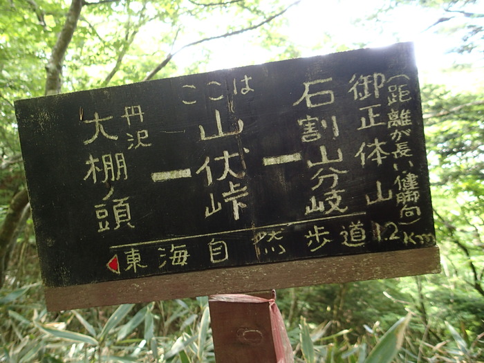 P6020822