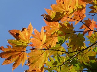 P1010093_R
