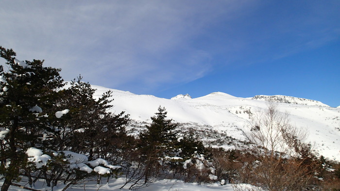 P2030007