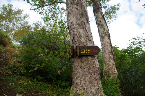 IMGP3733