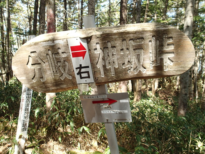 P5270803