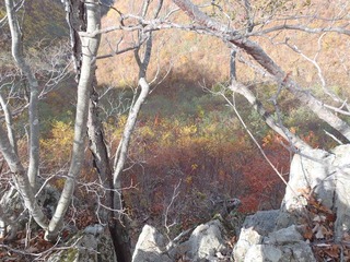 PB050070_R